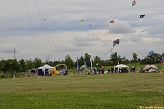 Venice kite festival_0499